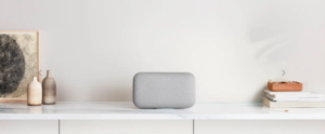 Design Google Home max